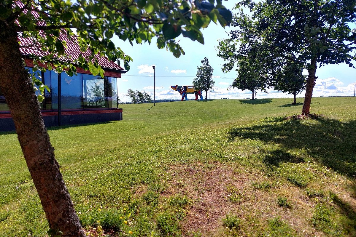 Niitty ja sininen talo auringonpaisteessa, kuvattu puun alta