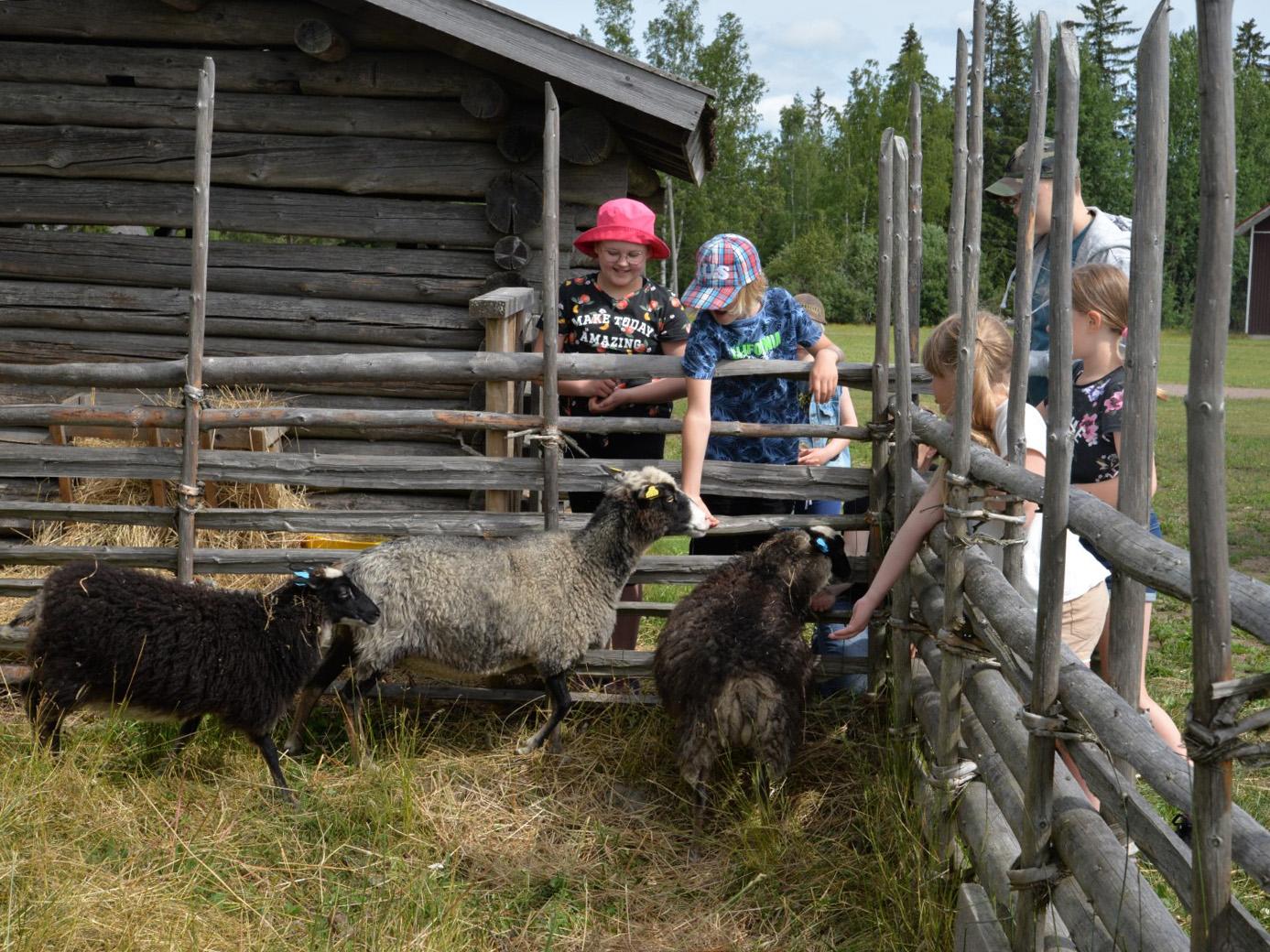 Kesäeläimet